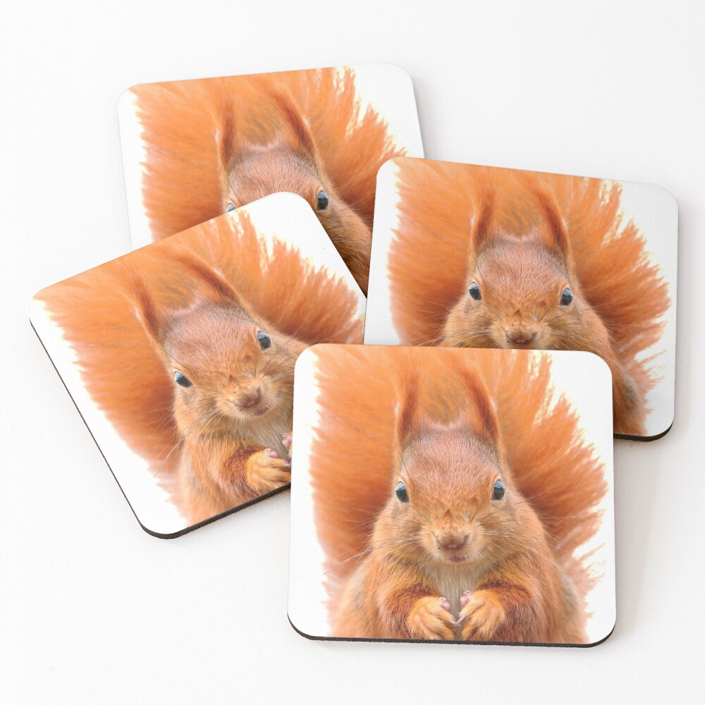 Item preview, Coasters (Set of 4) designed and sold by LiToDesignCo.