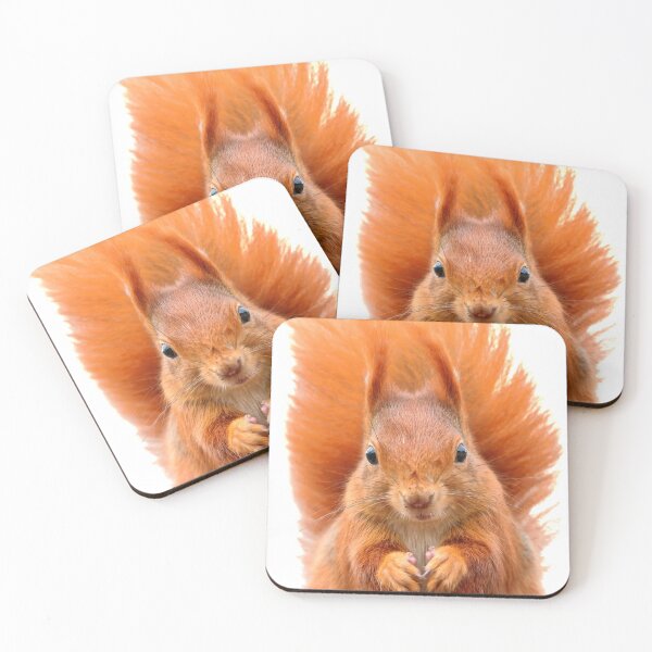 Item preview, Red Squirrel designed and sold by LiToDesignCo.