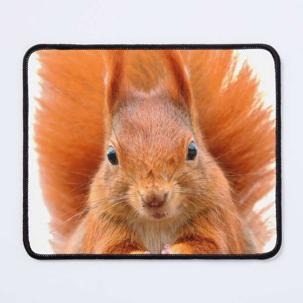 Item preview, Red Squirrel designed and sold by LiToDesignCo.