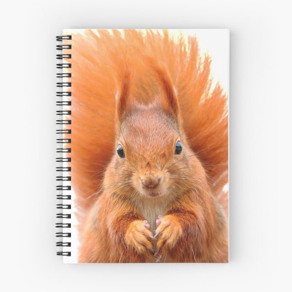 Item preview, Red Squirrel designed and sold by LiToDesignCo.