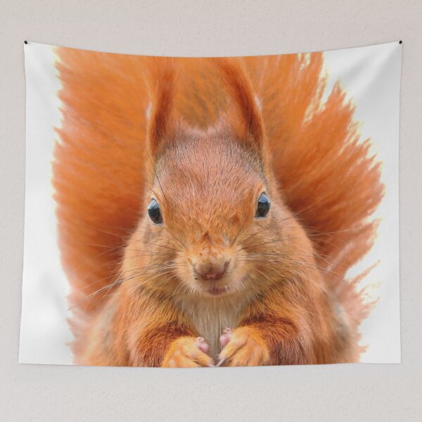 Item preview, Red Squirrel designed and sold by LiToDesignCo.