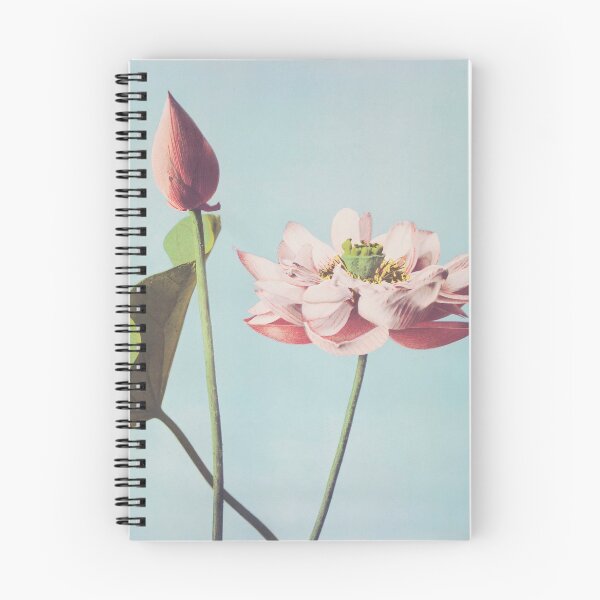 Item preview, Beautiful photomechanical prints of Lotus Flowers - Japanese Art designed and sold by TSLAB.