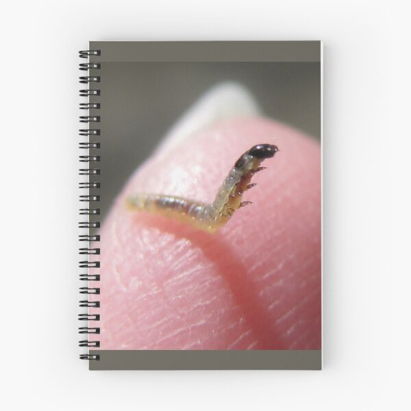 Item preview, Tiny inchworm: How 'bout a little hug? designed and sold by Jean Gregory Evans.