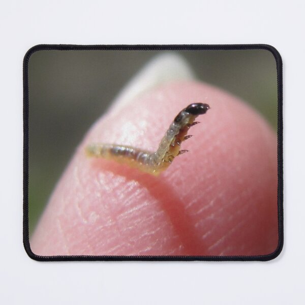 Item preview, Tiny inchworm: How 'bout a little hug? designed and sold by Jean Gregory Evans.
