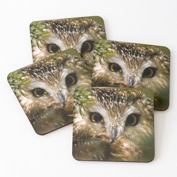 Item preview, Northern Saw-whet Owl designed and sold by Owl-Images.