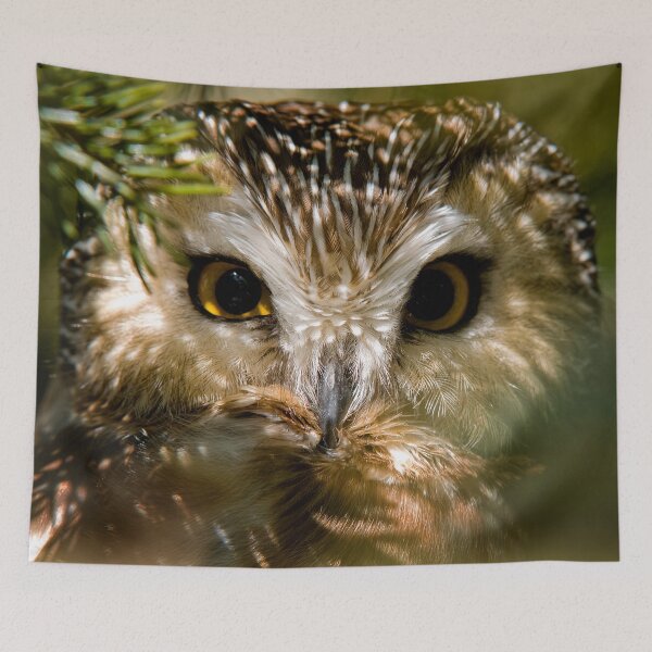 Item preview, Northern Saw-whet Owl designed and sold by Owl-Images.