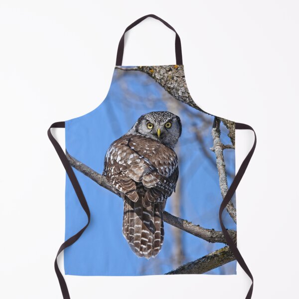 Item preview, Northern Hawk Owl designed and sold by Owl-Images.