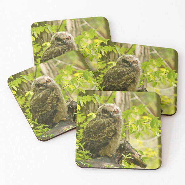 Item preview, Great Horned Owlet designed and sold by Owl-Images.