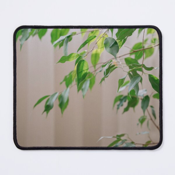 Item preview, Ficus leaves designed and sold by anstey.