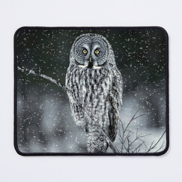 Item preview, Great Grey Owl designed and sold by Owl-Images.