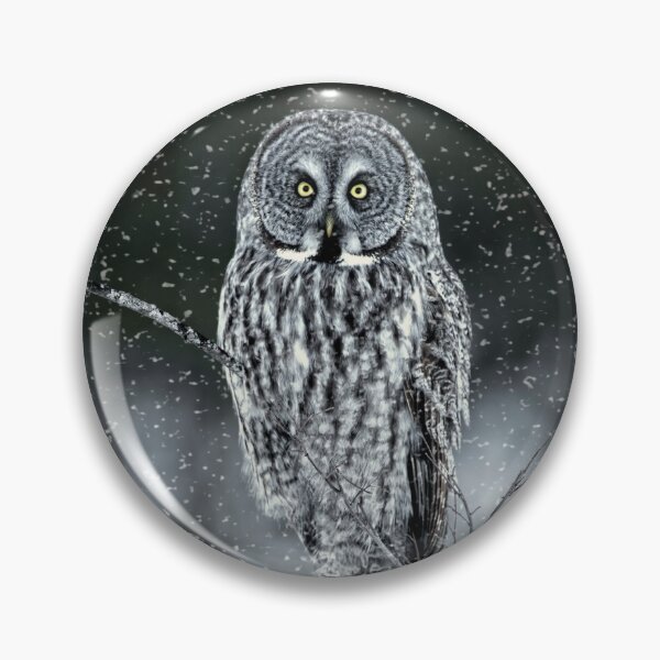 Artikelvorschau, Große graue Eule entworfen und verkauft von Owl-Images.