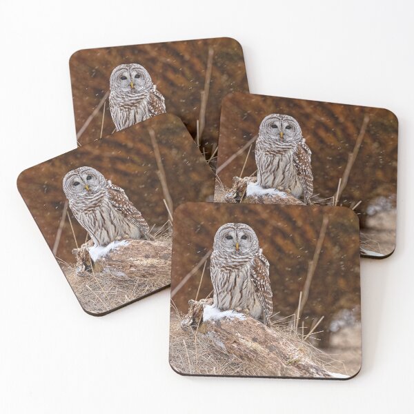 Item preview, Barred Owl designed and sold by Owl-Images.