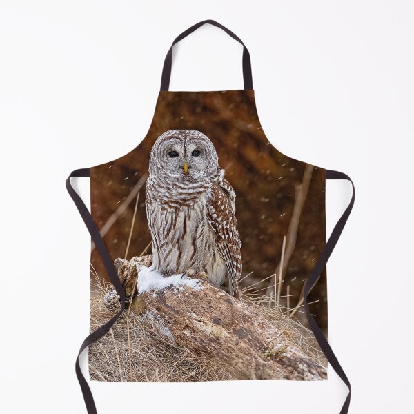 Item preview, Barred Owl designed and sold by Owl-Images.
