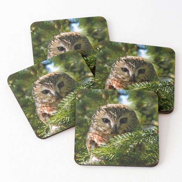 Item preview, Northern Saw-whet Owl designed and sold by Owl-Images.