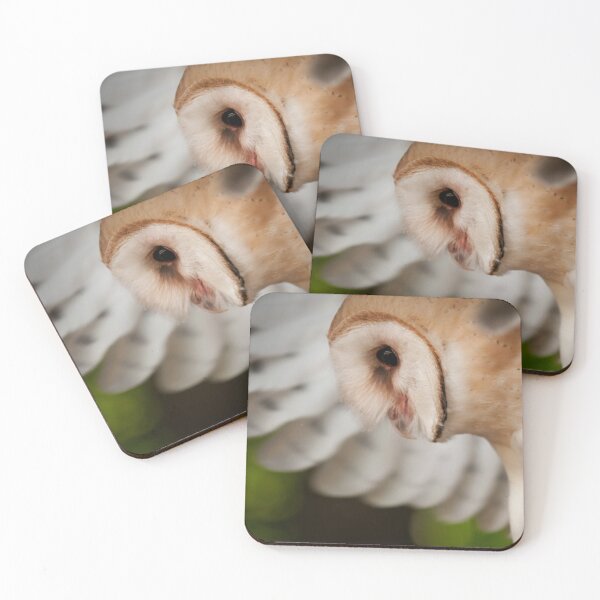 Item preview, Barn Owl designed and sold by Owl-Images.