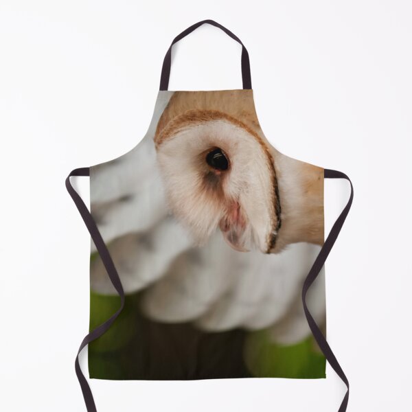 Item preview, Barn Owl designed and sold by Owl-Images.