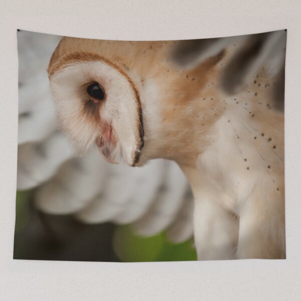 Item preview, Barn Owl designed and sold by Owl-Images.