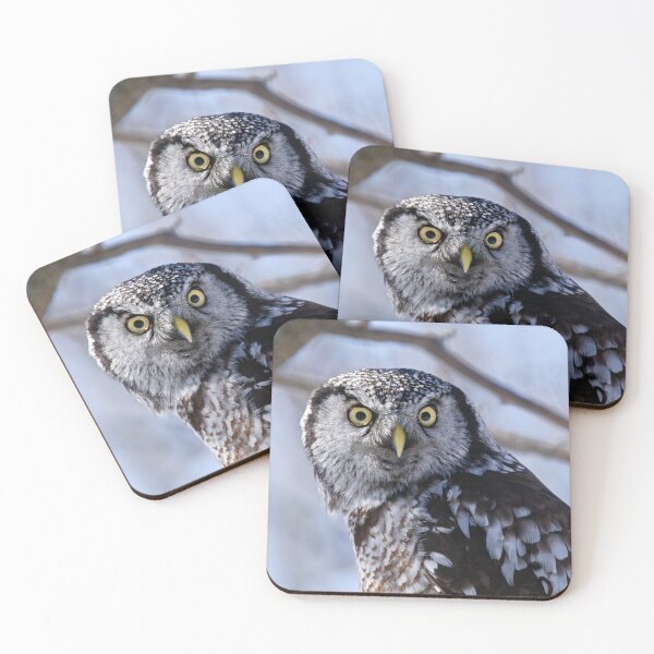 Item preview, Northern Hawk Owl designed and sold by Owl-Images.
