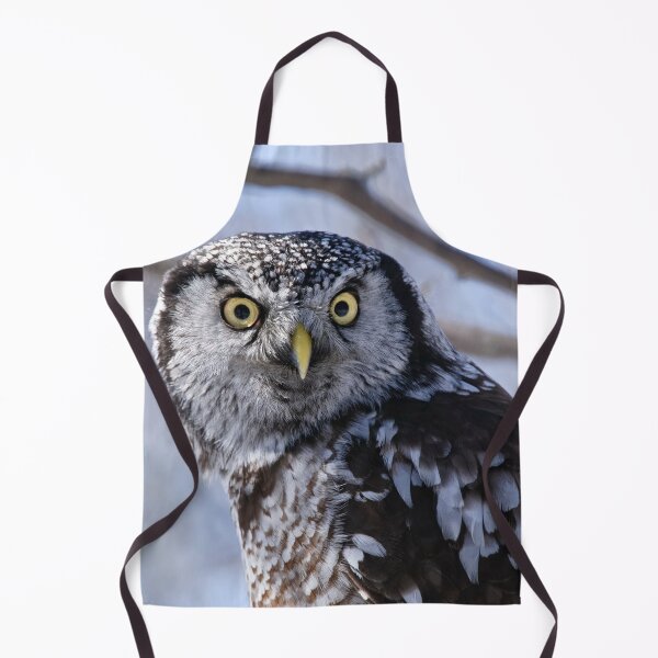 Item preview, Northern Hawk Owl designed and sold by Owl-Images.