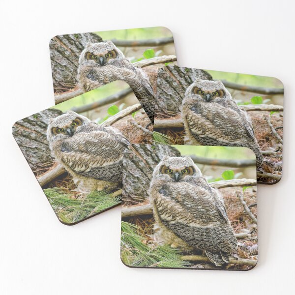 Item preview, Great Horned Owlet designed and sold by Owl-Images.