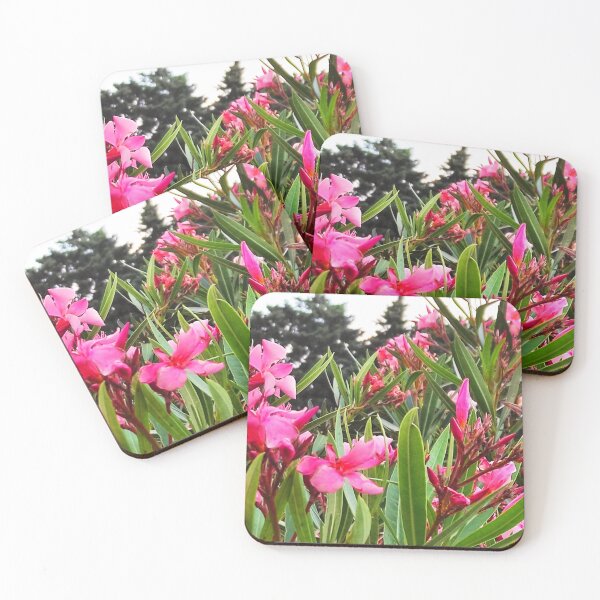 Item preview, Nerium Oleander - Oleander Rose Laurel designed and sold by branaghbel.