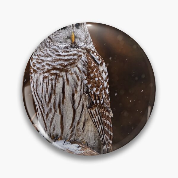 Item preview, Barred Owl designed and sold by Owl-Images.