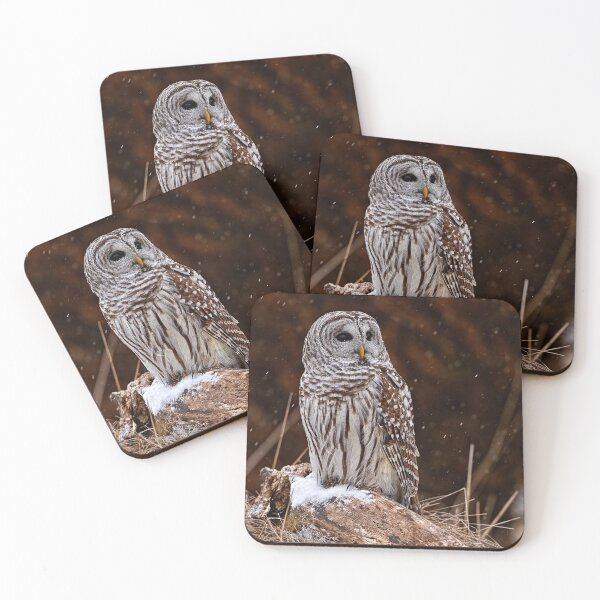 Item preview, Barred Owl designed and sold by Owl-Images.