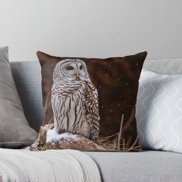 Artikelvorschau, Barred Owl entworfen und verkauft von Owl-Images.