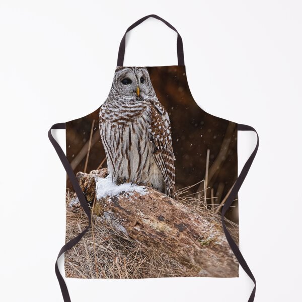 Item preview, Barred Owl designed and sold by Owl-Images.