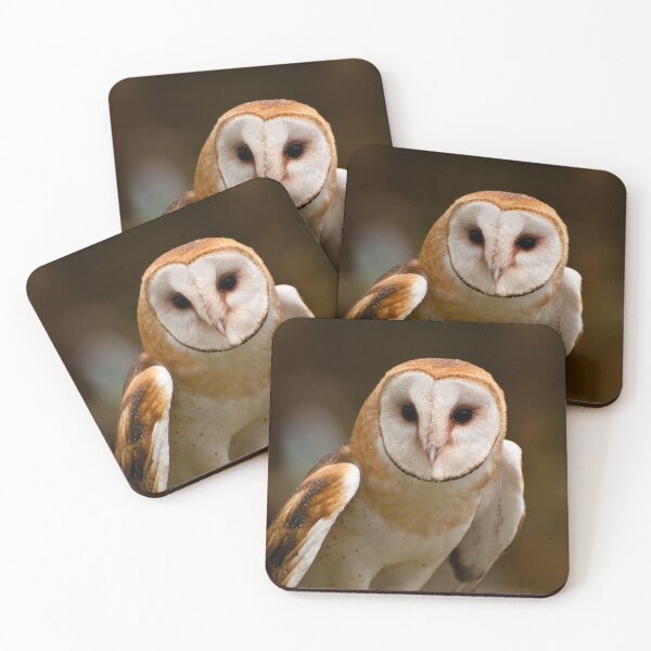 Item preview, Barn Owl designed and sold by Owl-Images.