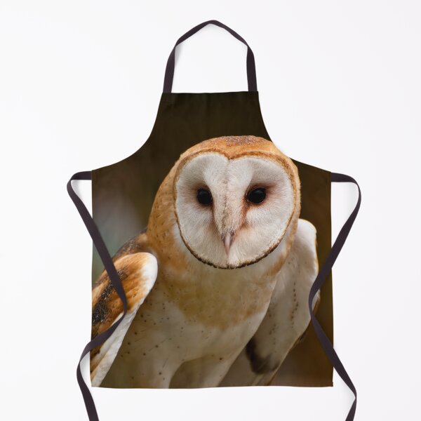 Item preview, Barn Owl designed and sold by Owl-Images.