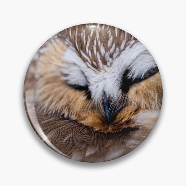 Item preview, Sleepy Time 2 designed and sold by Owl-Images.