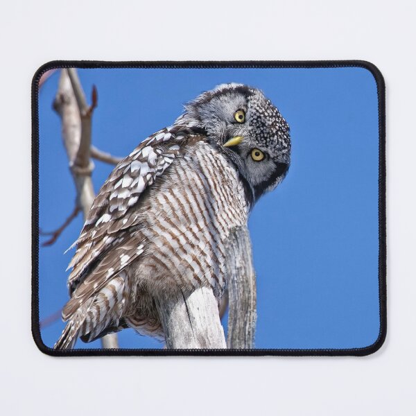 Item preview, Nope, This Doesn't Help designed and sold by Owl-Images.
