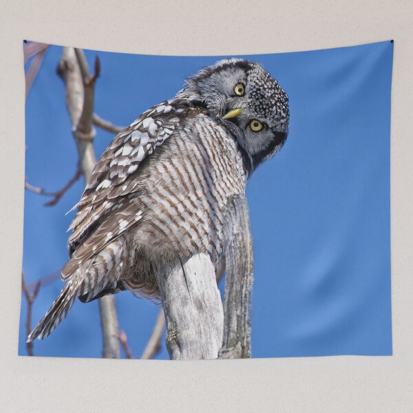 Item preview, Nope, This Doesn't Help designed and sold by Owl-Images.