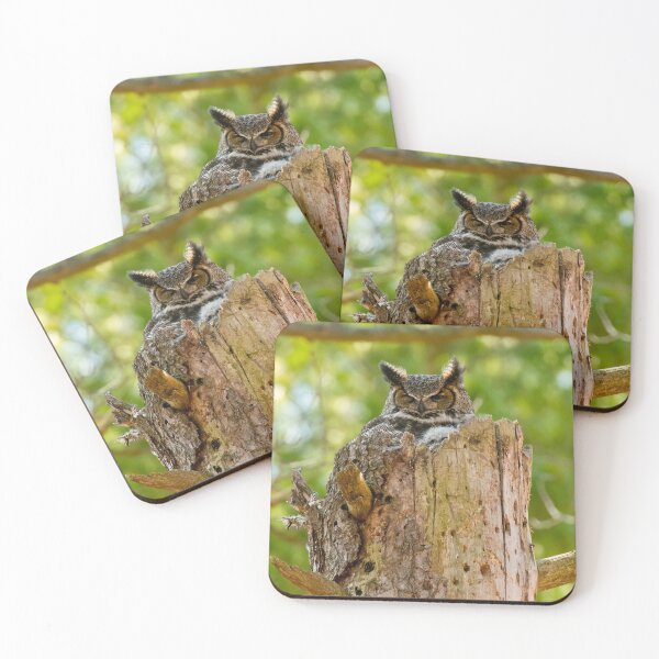 Item preview, Great Horned Owl designed and sold by Owl-Images.