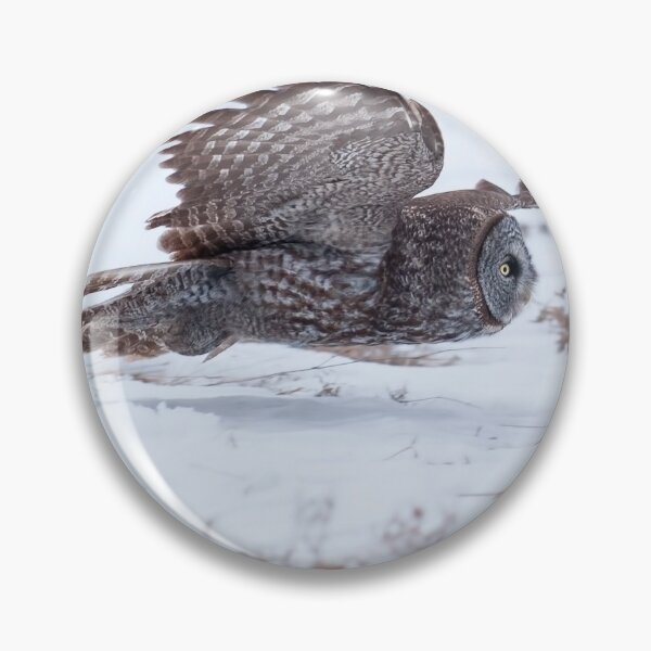 Item preview, Great Grey Owl designed and sold by Owl-Images.