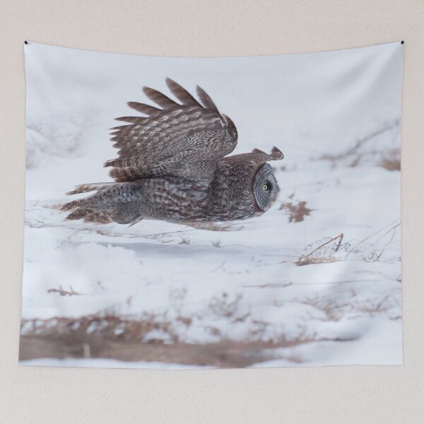 Item preview, Great Grey Owl designed and sold by Owl-Images.
