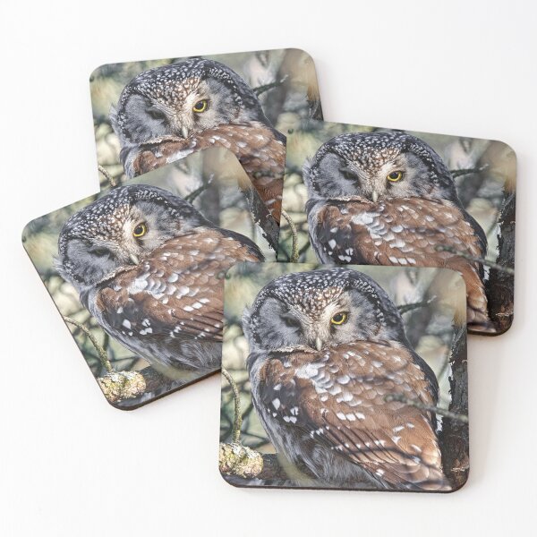 Item preview, Boreal Owl designed and sold by Owl-Images.