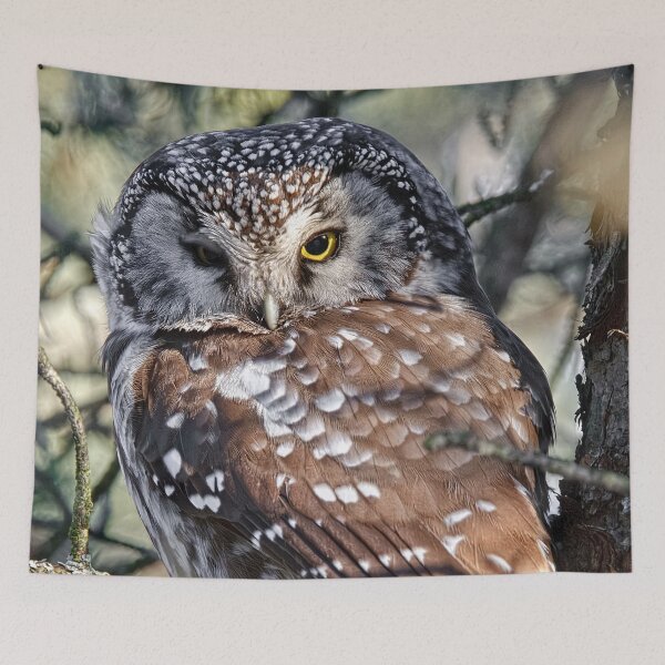 Item preview, Boreal Owl designed and sold by Owl-Images.