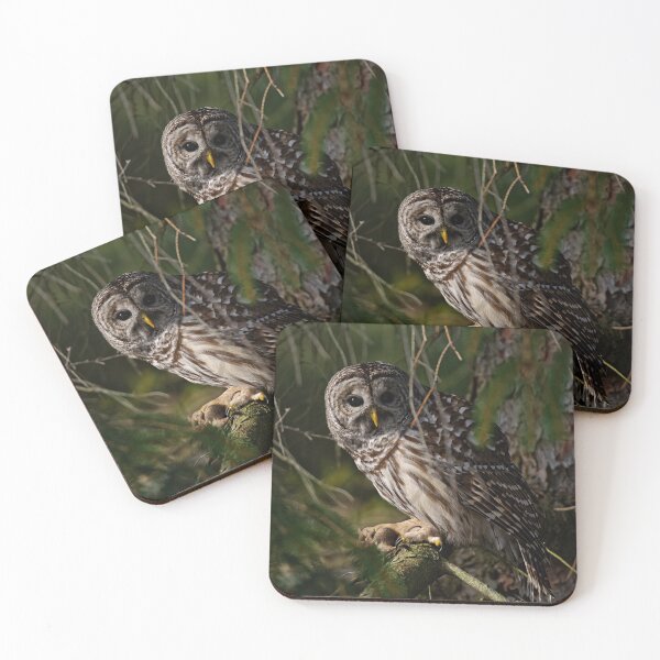 Item preview, Barred Owl designed and sold by Owl-Images.