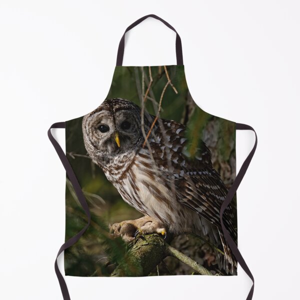 Item preview, Barred Owl designed and sold by Owl-Images.
