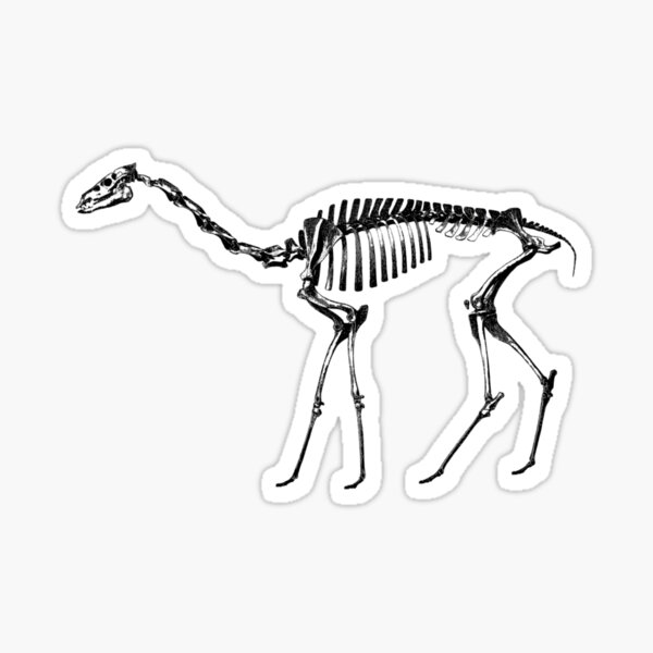Ancestral Camel - 1904 Sticker