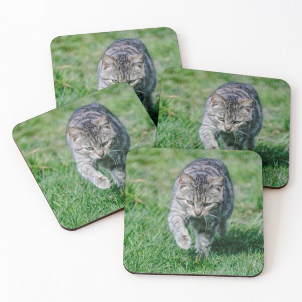 Item preview, elb tabby designed and sold by pcfyi.