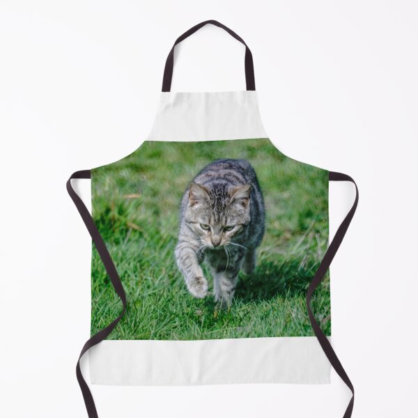 Item preview, elb tabby designed and sold by pcfyi.
