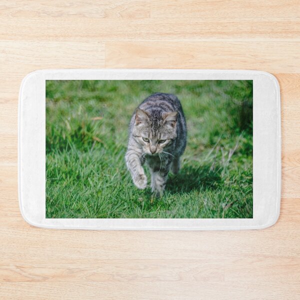 Item preview, elb tabby designed and sold by pcfyi.