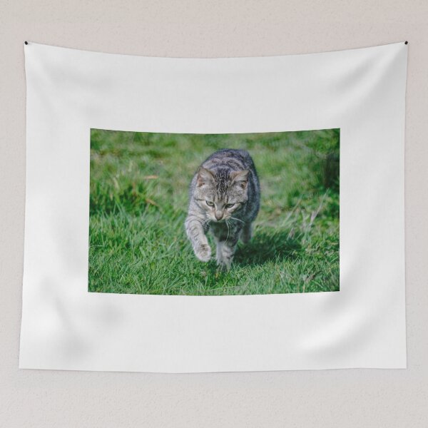 Item preview, elb tabby designed and sold by pcfyi.