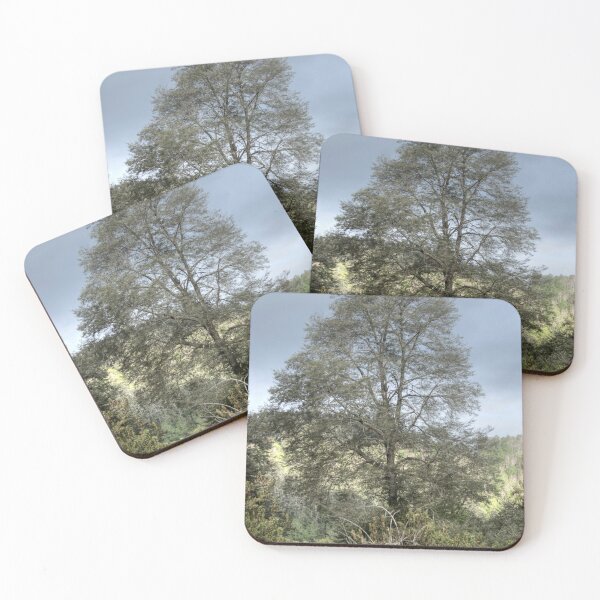 Item preview, elb singleton designed and sold by pcfyi.
