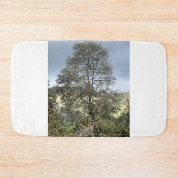 Item preview, elb singleton designed and sold by pcfyi.