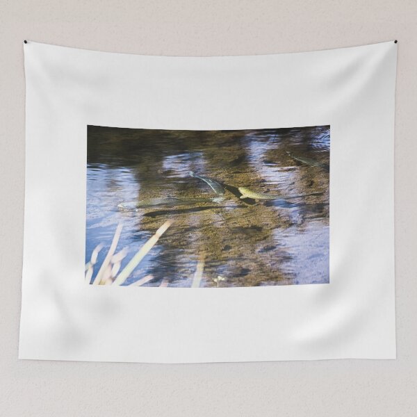 Item preview, elb school designed and sold by pcfyi.