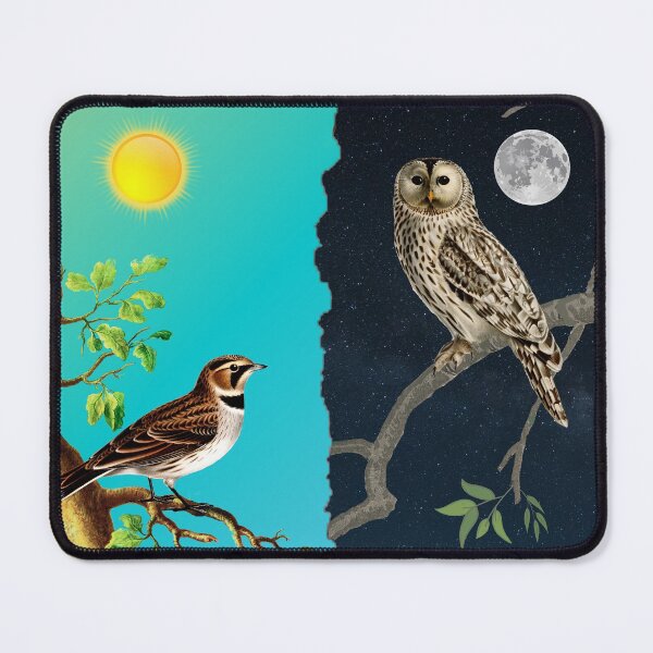 Item preview, Owl and Lark  designed and sold by Intr0vertLife.